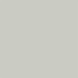 Mitten grey